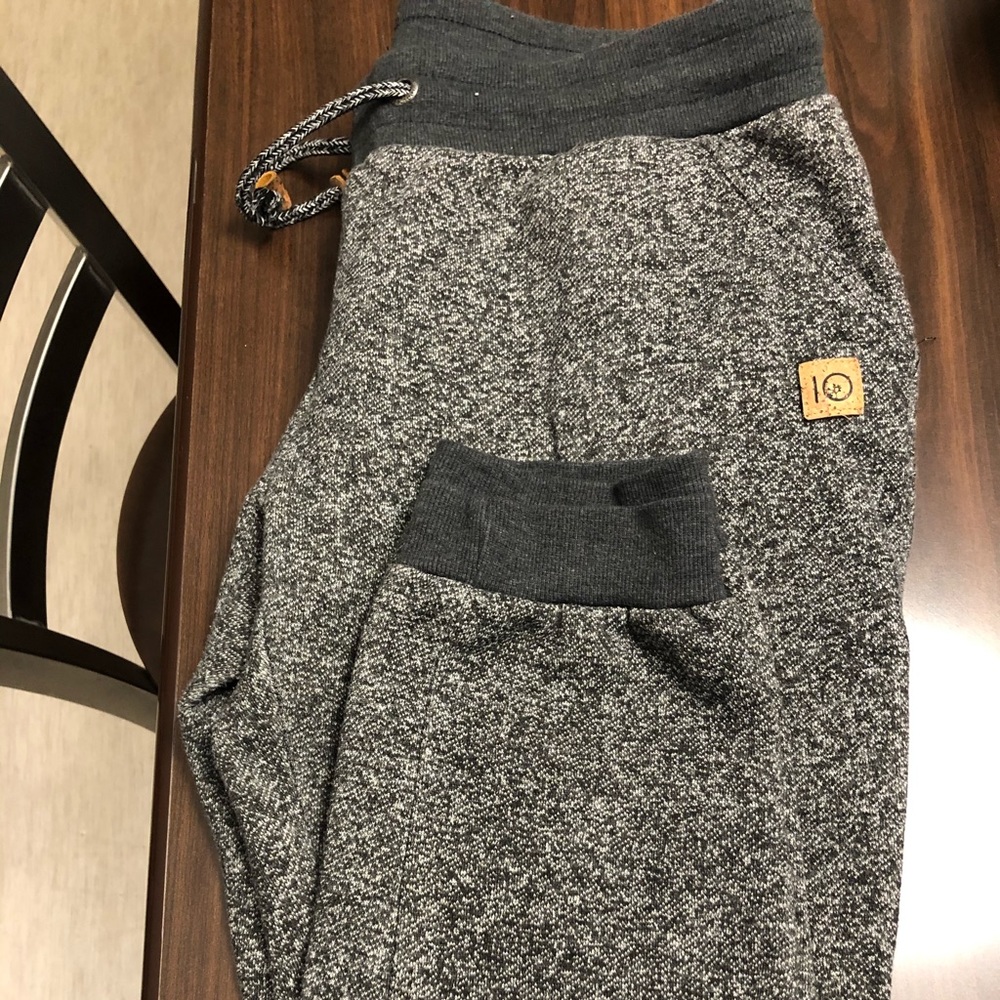 Tentree heavy sweatpants